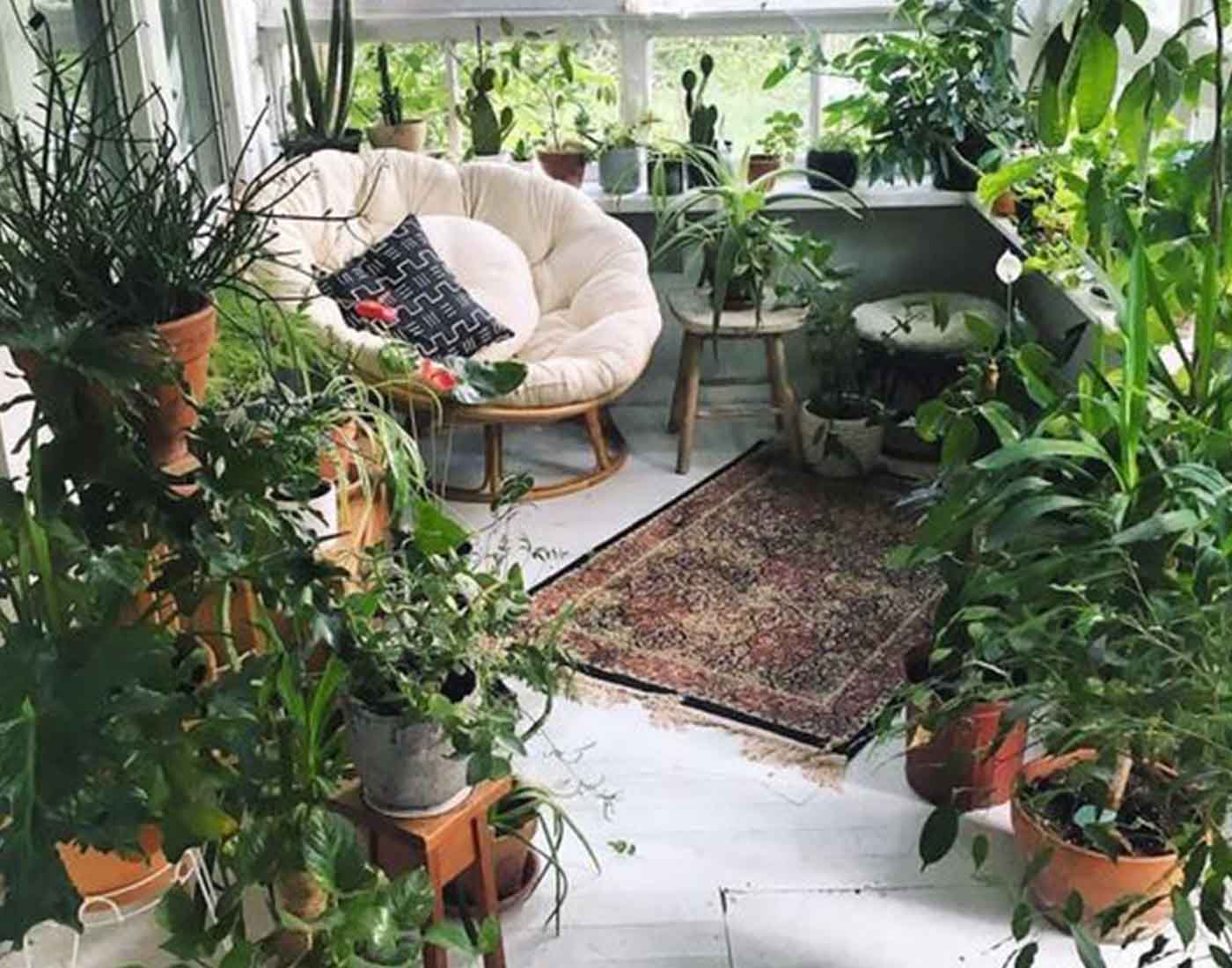 Urban Jungles Pfeiffer Design