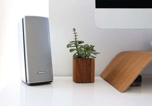 Bose Speaker