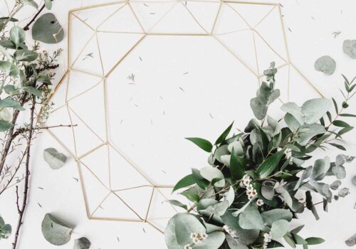 Eucalyptus