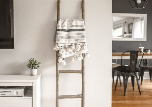 Ladder Shelf