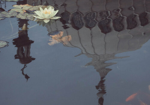 Pavilion Reflection