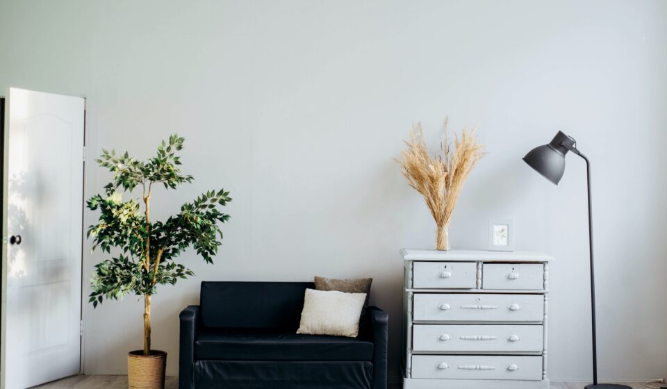 A black sofa sits next to a light gray dresser adorned with dried plants. A tall lamp stands beside the dresser, while a potted tree occupies the opposite corner. The background features a plain wall and an open door.