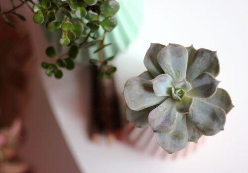 Flower decor