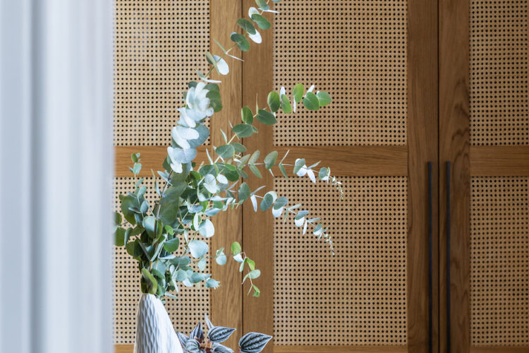 A white vase with green eucalyptus stands on a glass table. Nearby, books with titles like "In Vogue" and "Christian Dior" rest, against a backdrop of wooden, perforated doors.
