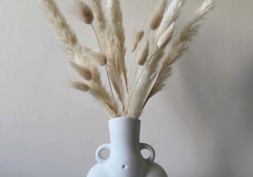 Pampass grass in white nude vase