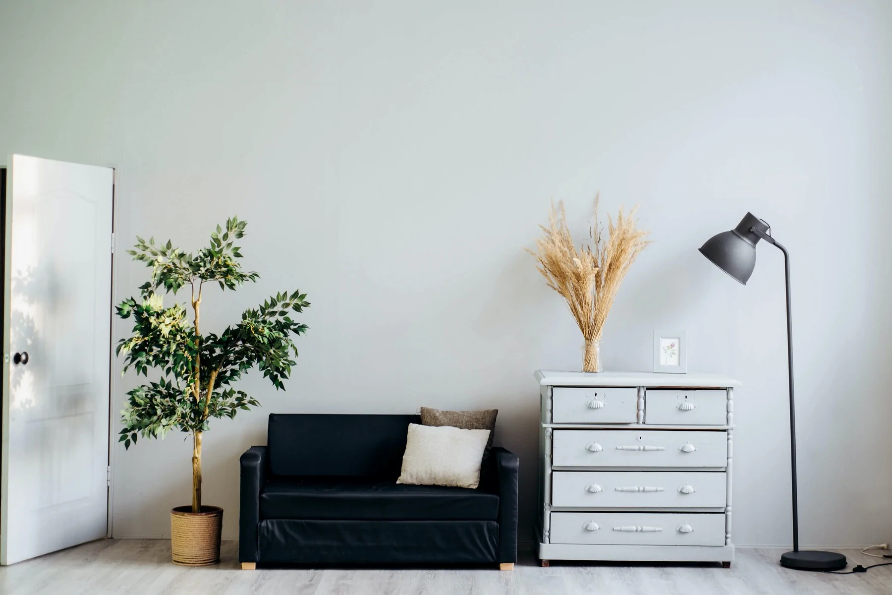 A black sofa sits next to a light gray dresser adorned with dried plants. A tall lamp stands beside the dresser, while a potted tree occupies the opposite corner. The background features a plain wall and an open door.