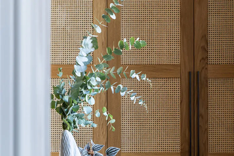 A white vase with green eucalyptus stands on a glass table. Nearby, books with titles like "In Vogue" and "Christian Dior" rest, against a backdrop of wooden, perforated doors.