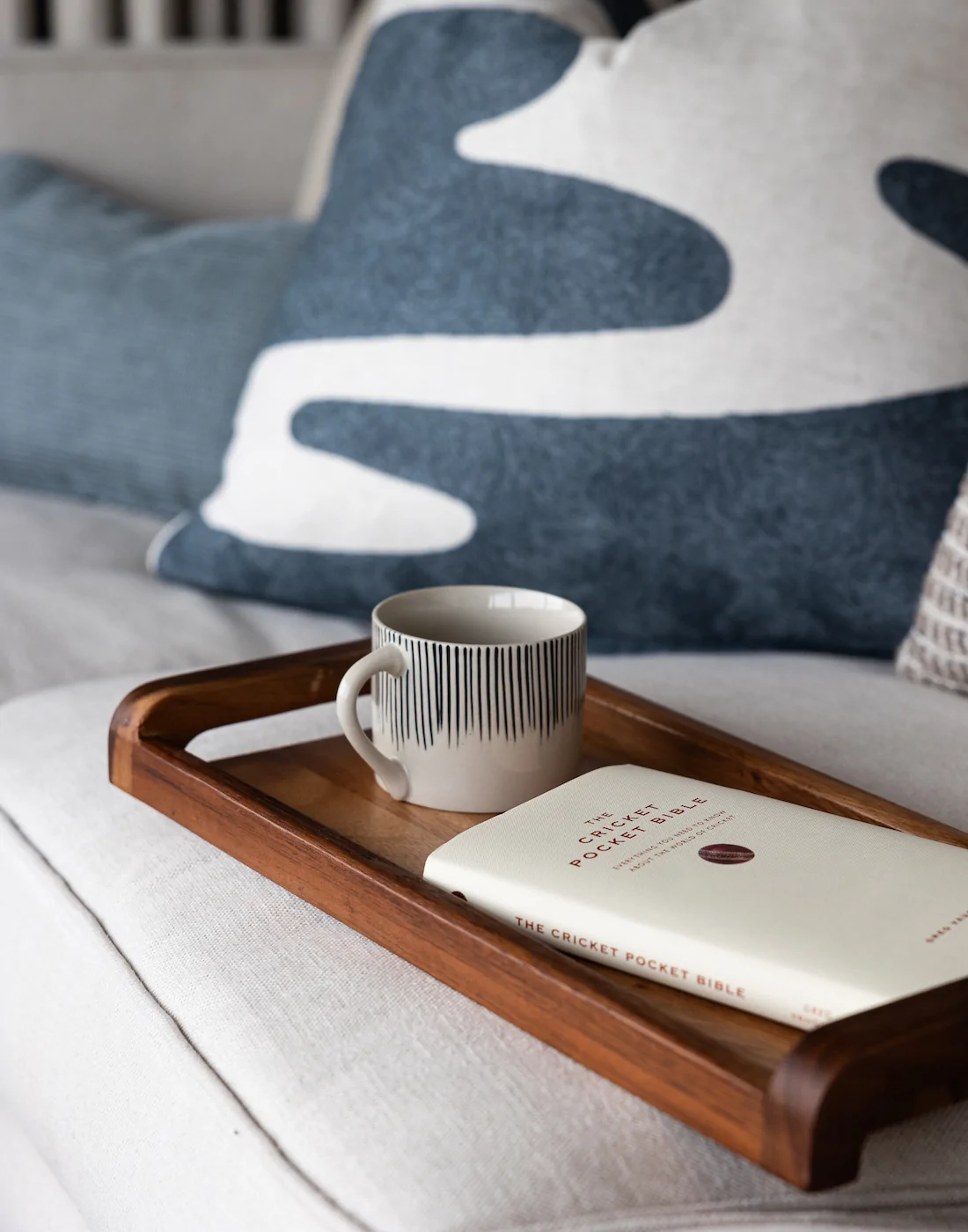 cricket paradise in Sussex hove. raised living room viewing platform for cricket watching