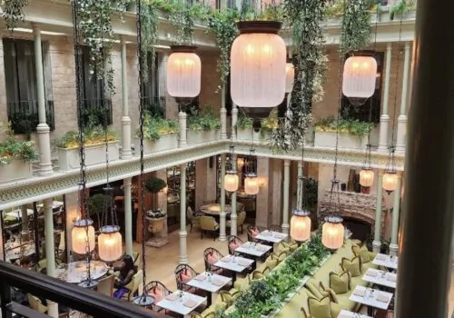 restaurant interior glazed ceiling green house vibe with hanging plants and pendants