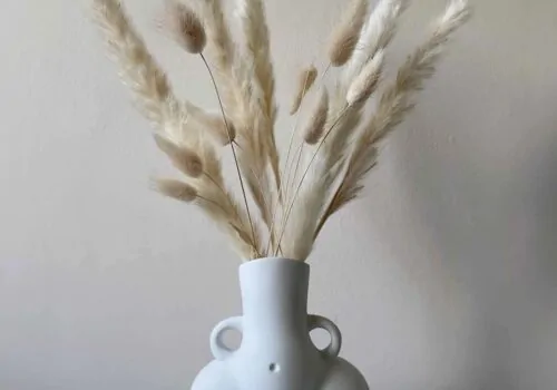 Pampass grass in white nude vase